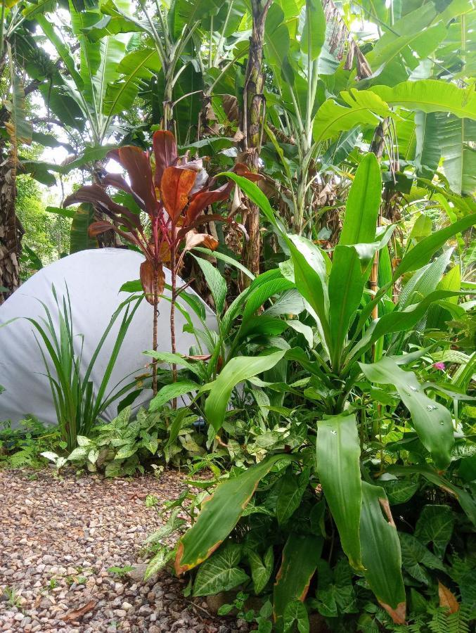 Camping Tropico De Capricornio - Ilhabela Exteriér fotografie