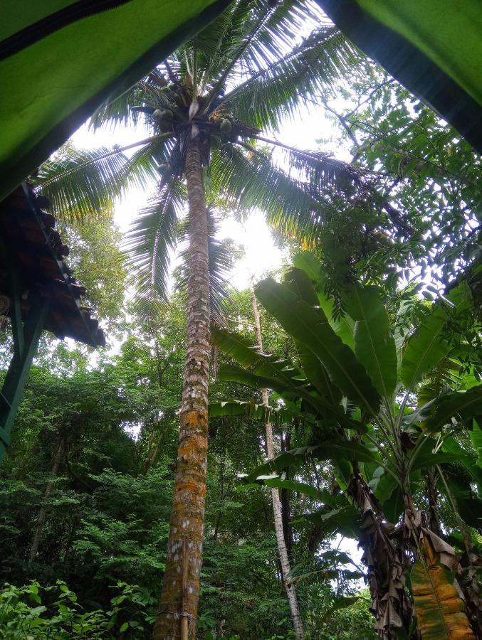 Camping Tropico De Capricornio - Ilhabela Exteriér fotografie